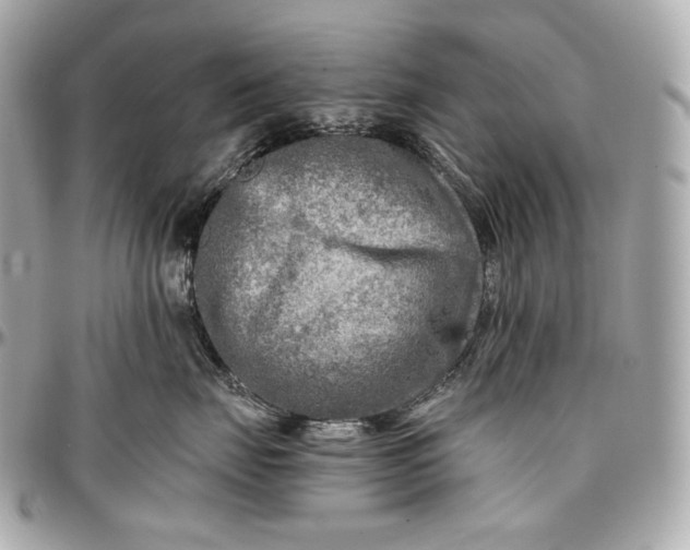 X0000096980671200802221435