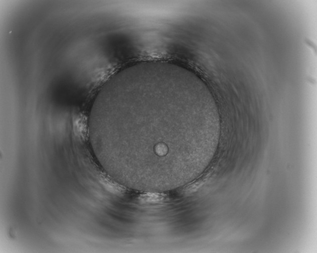 X0000096980672200802221435