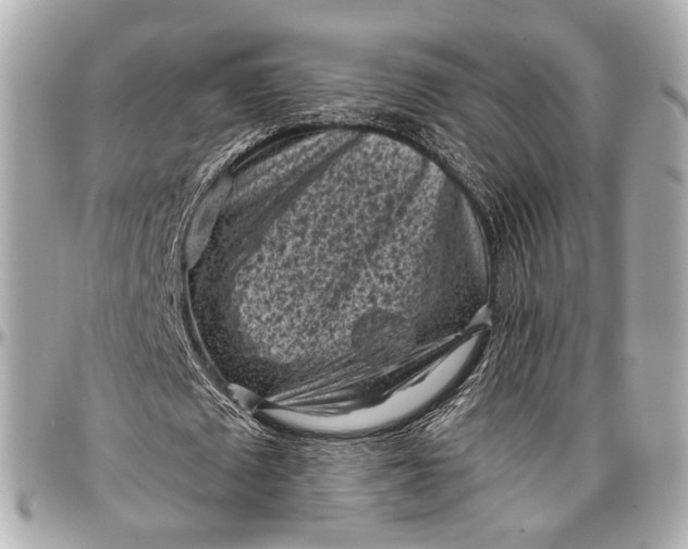 X0000096980673200802221435