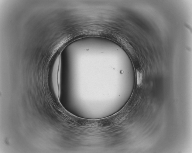 X0000096980675200802221435