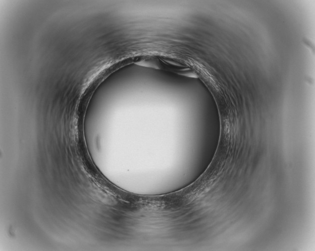 X0000096980676200802221435