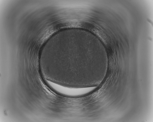 X0000096980677200802221435