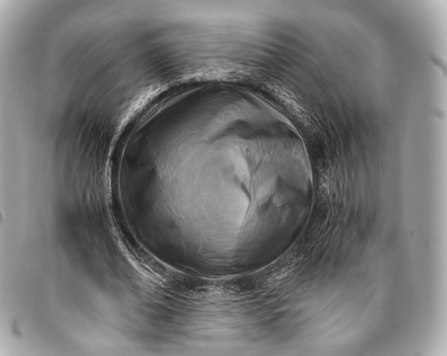 X0000096980678200802221435