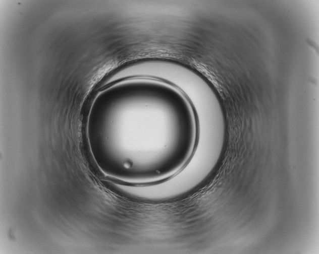 X0000096980679200802221435