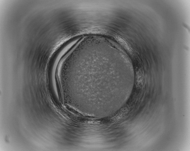 X0000096980680200802221435