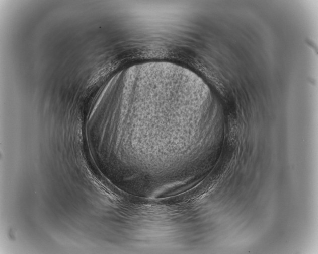 X0000096980681200802221435