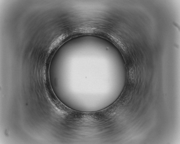 X0000096980682200802221435