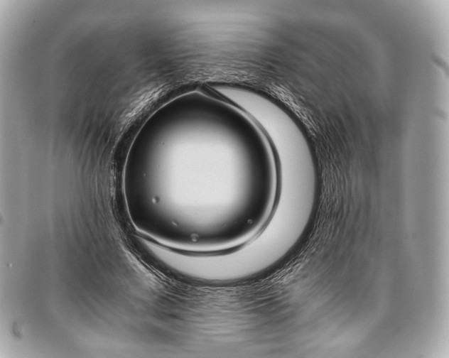 X0000096980683200802221435