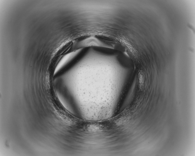 X0000096980684200802221435