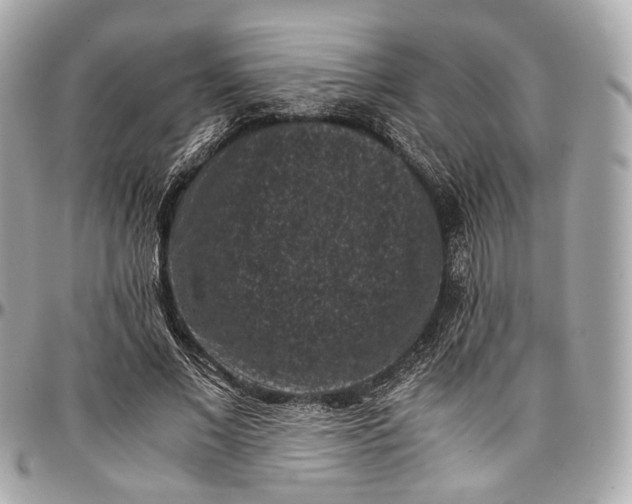 X0000096980685200802221435