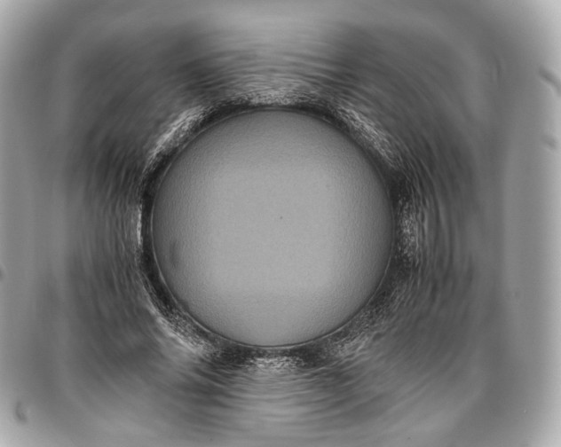 X0000096980686200802221435