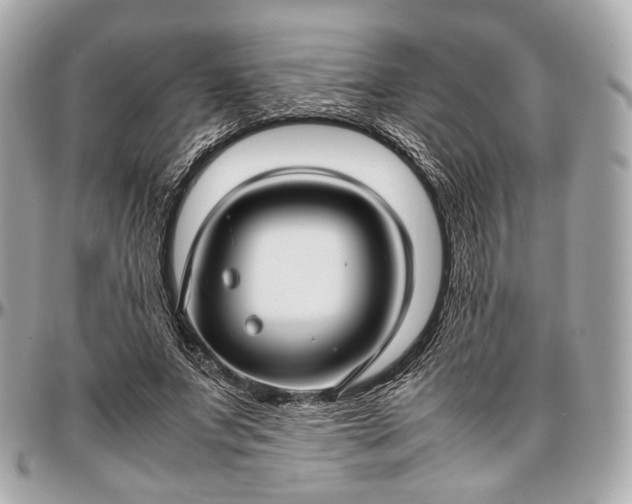 X0000096980687200802221435