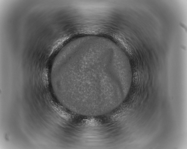 X0000096980688200802221435