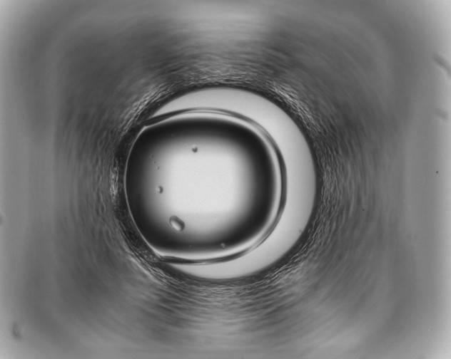 X0000096980691200802221435