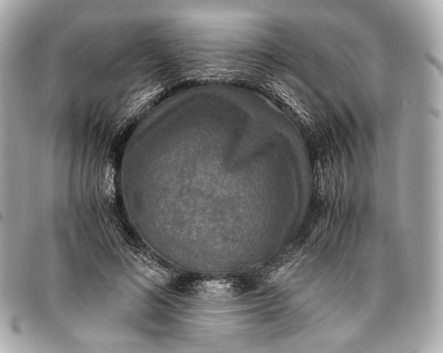 X0000096980692200802221434