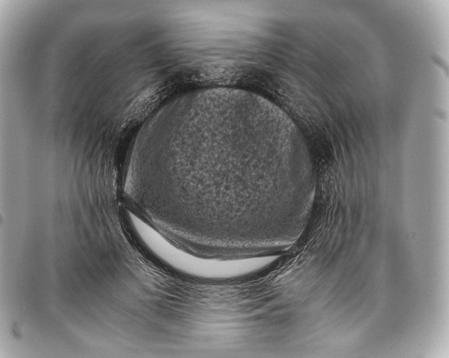 X0000096980693200802221434