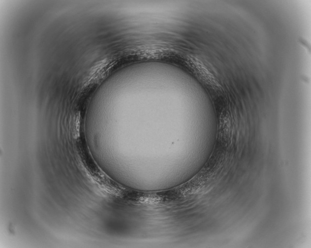 X0000096980694200802221434