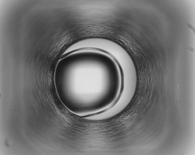 X0000096980695200802221434