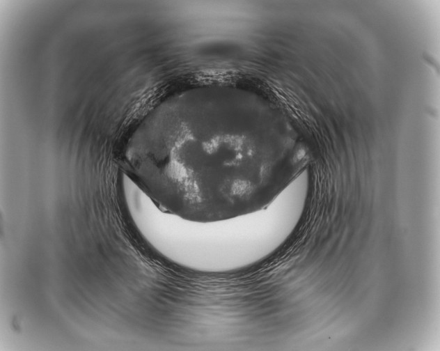 X0000096980699200802221434