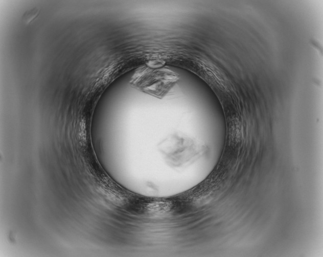 X0000096980700200802221434