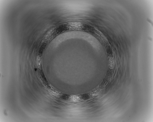 X0000096980701200802221434