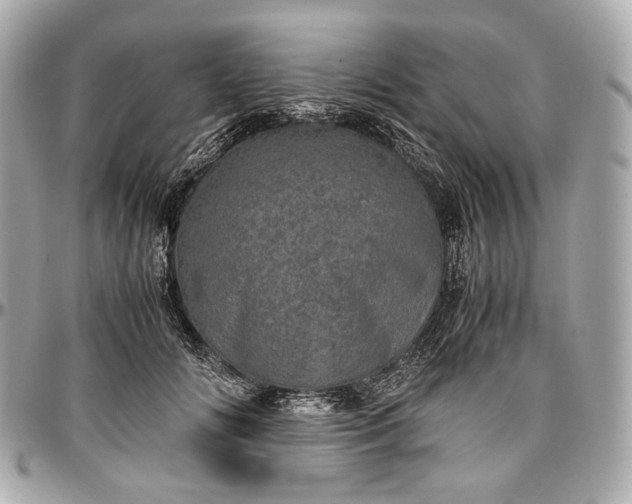 X0000096980702200802221434