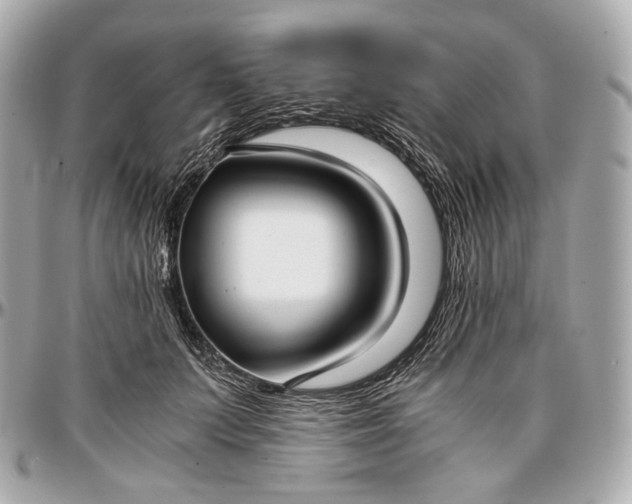 X0000096980703200802221434