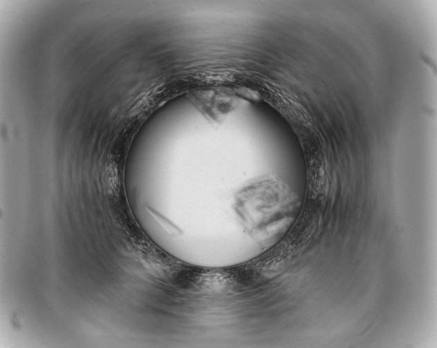 X0000096980704200802221434