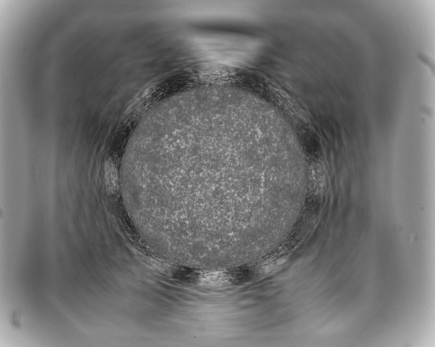 X0000096980705200802221434