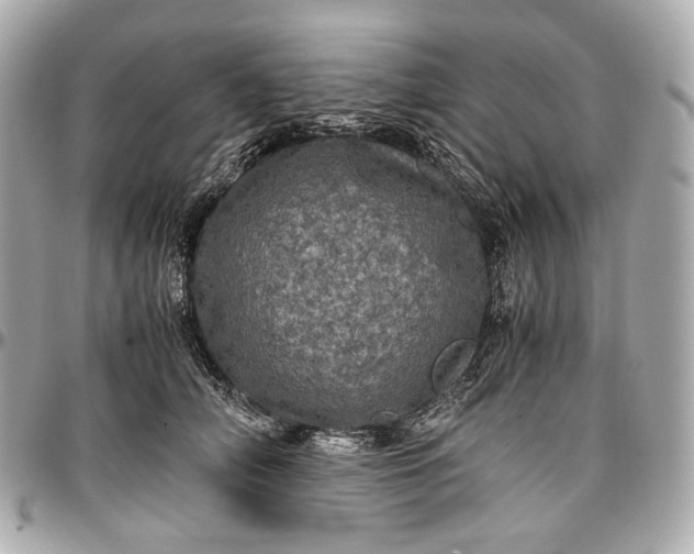 X0000096980706200802221434