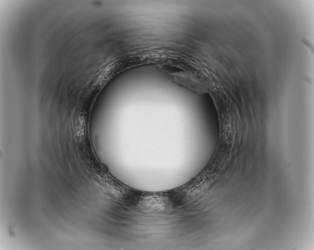 X0000096980708200802221434