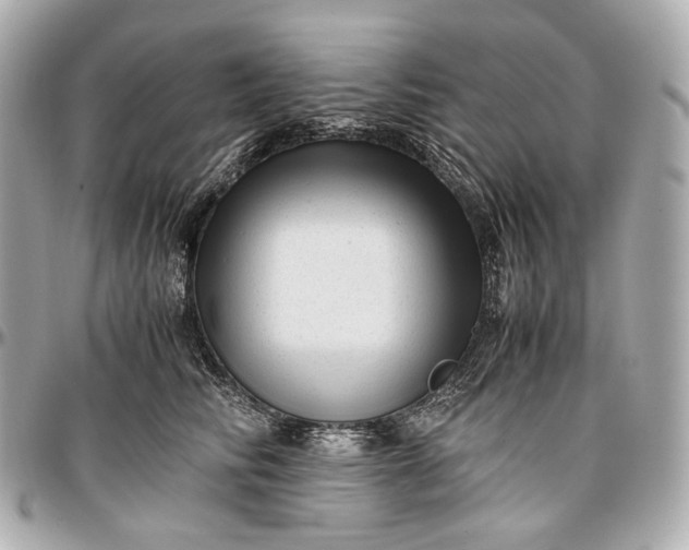 X0000096980710200802221434