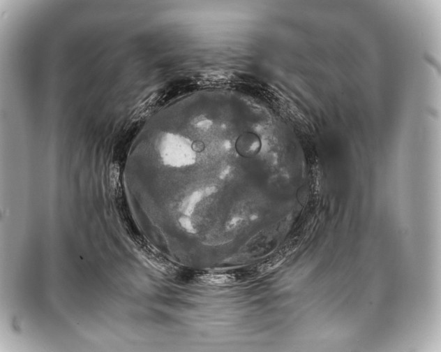 X0000096980711200802221434