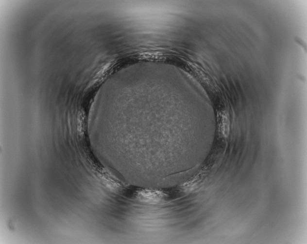 X0000096980712200802221434