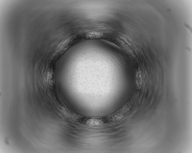 X0000096980714200802221434