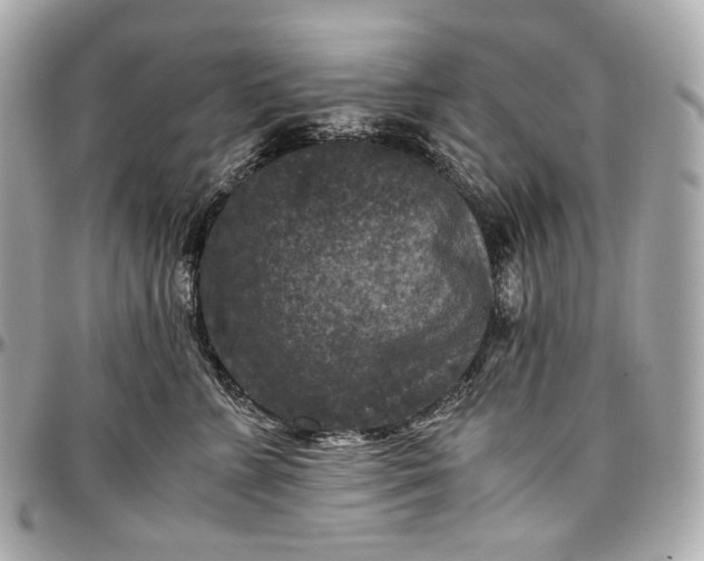 X0000096980715200802221434