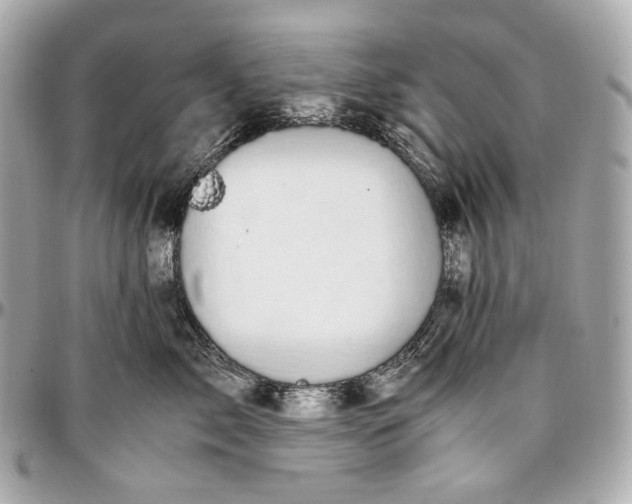 X0000096980717200802221434