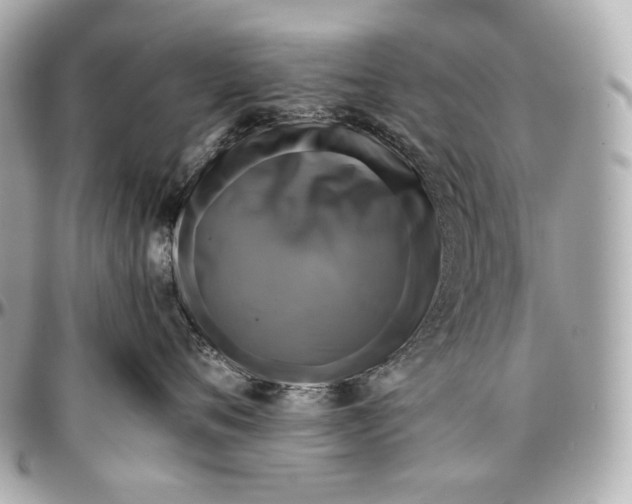 X0000096980720200802221434