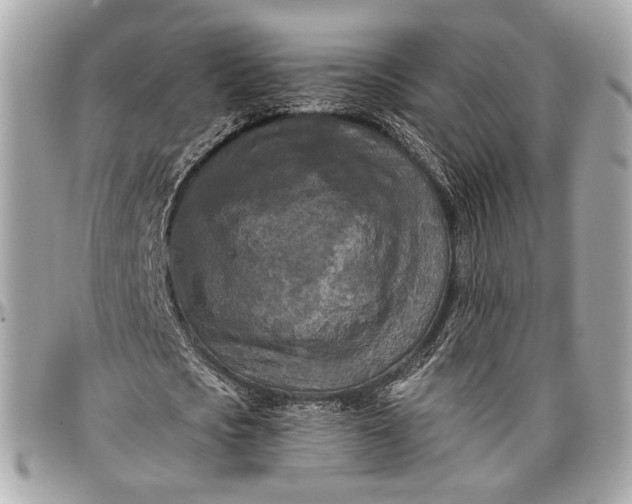 X0000096980721200802221433