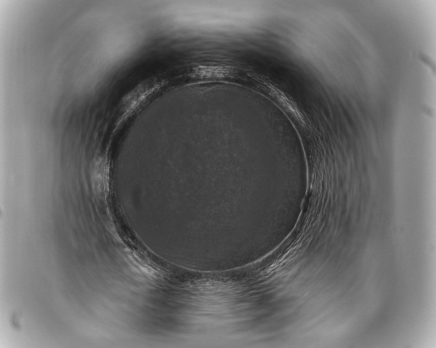 X0000096980722200802221433