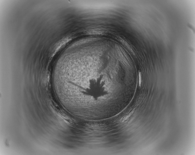 X0000096980723200802221433