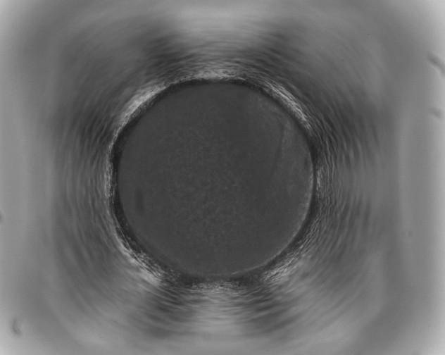 X0000096980724200802221433