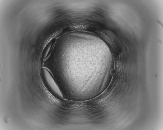 X0000096980725200802221433