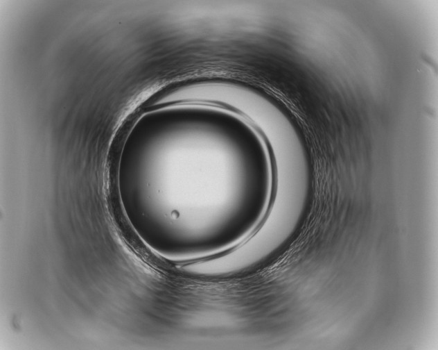 X0000096980726200802221433