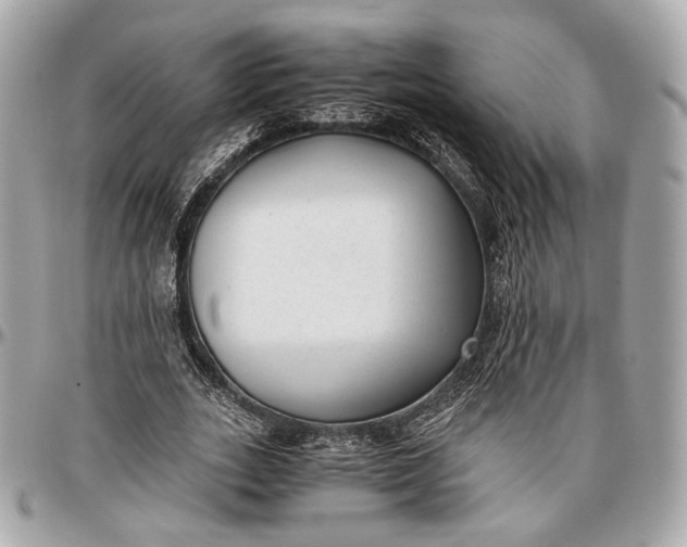 X0000096980727200802221433