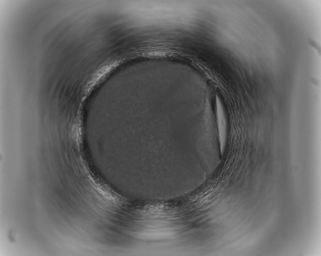 X0000096980728200802221433