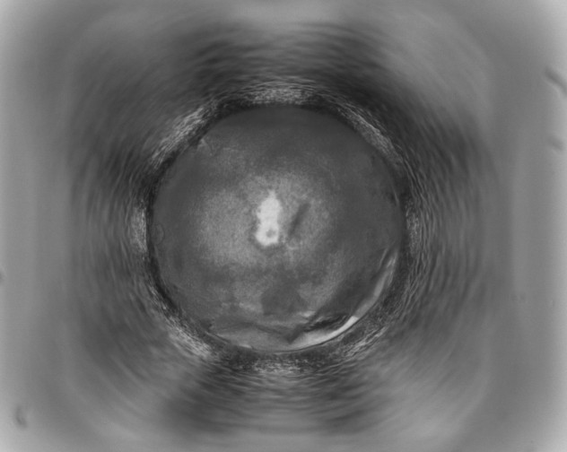 X0000096980729200802221433