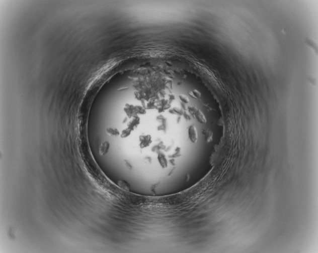 X0000096980730200802221433