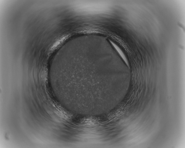 X0000096980732200802221433