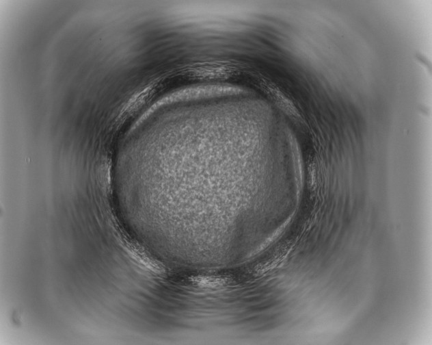 X0000096980733200802221434